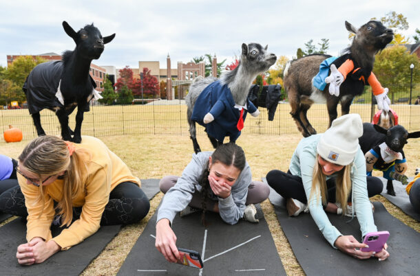 Halloween Goat Yoga class, Wednesday, Oct. 26, 2022 on Chamberlain Field.