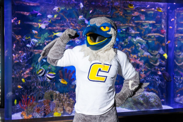 Photo credit: Tennessee Aquarium 