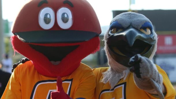 Photo credit: gomocs.com
