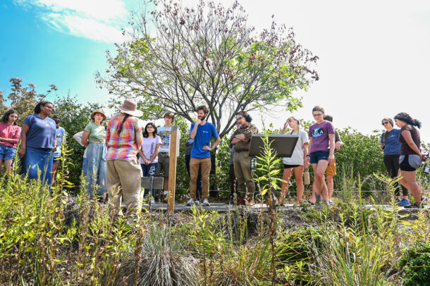 Natural Research Project Coordinator Lucy Ellis shows environmental studies students the Warner Park bioretention gardens and Deanna Beasley’s Chronolog project.