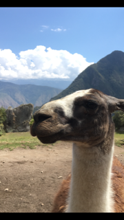 Peru 10