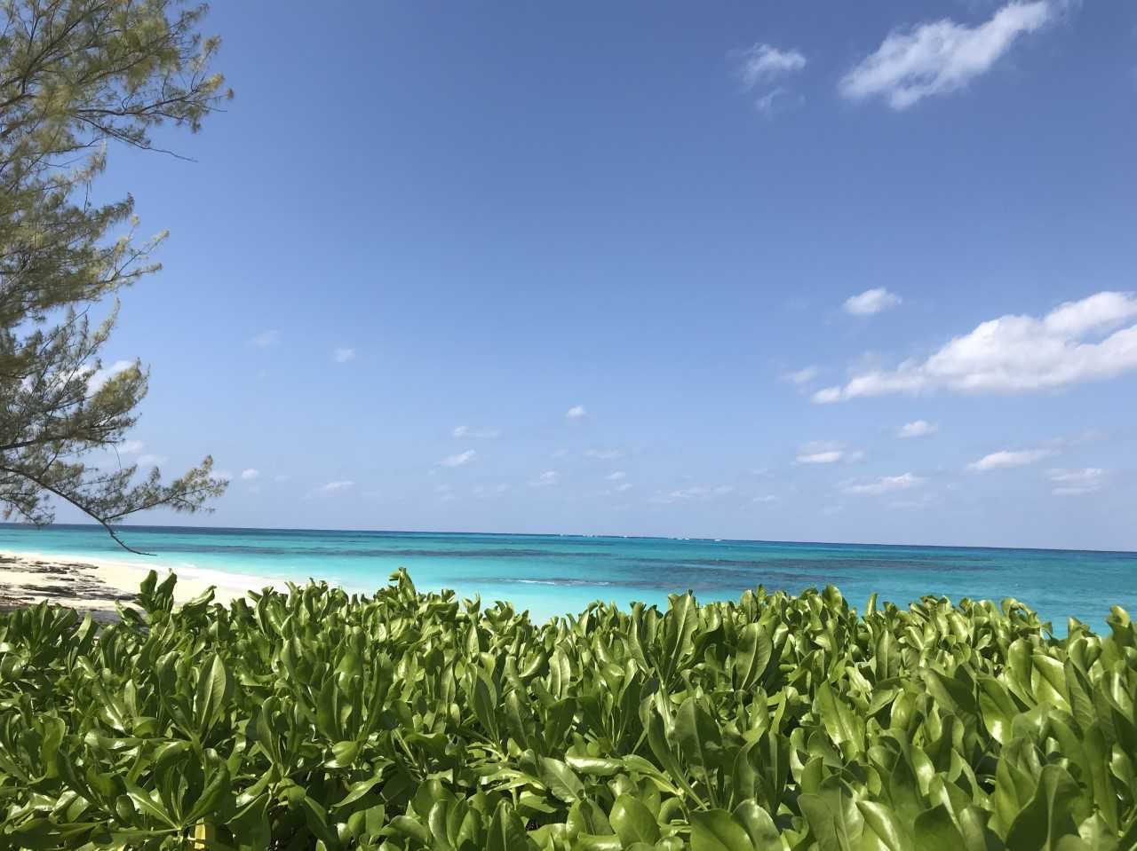 UTC in the Bahamas