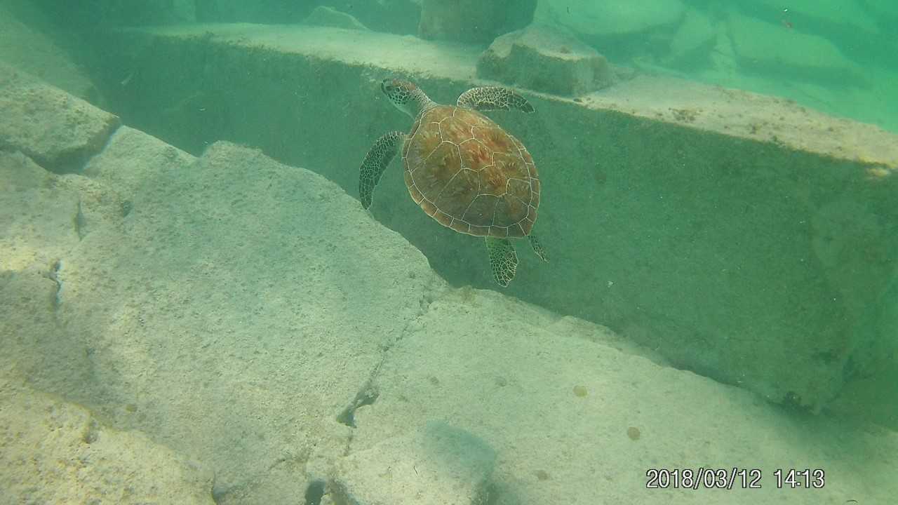 UTC in the Bahamas