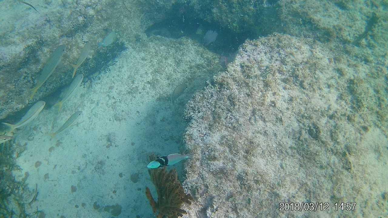 UTC in the Bahamas