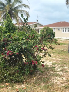 UTC in the Bahamas