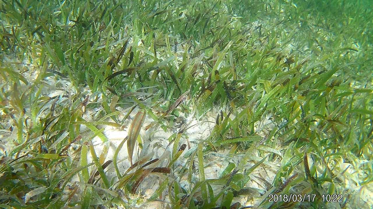 UTC in the Bahamas