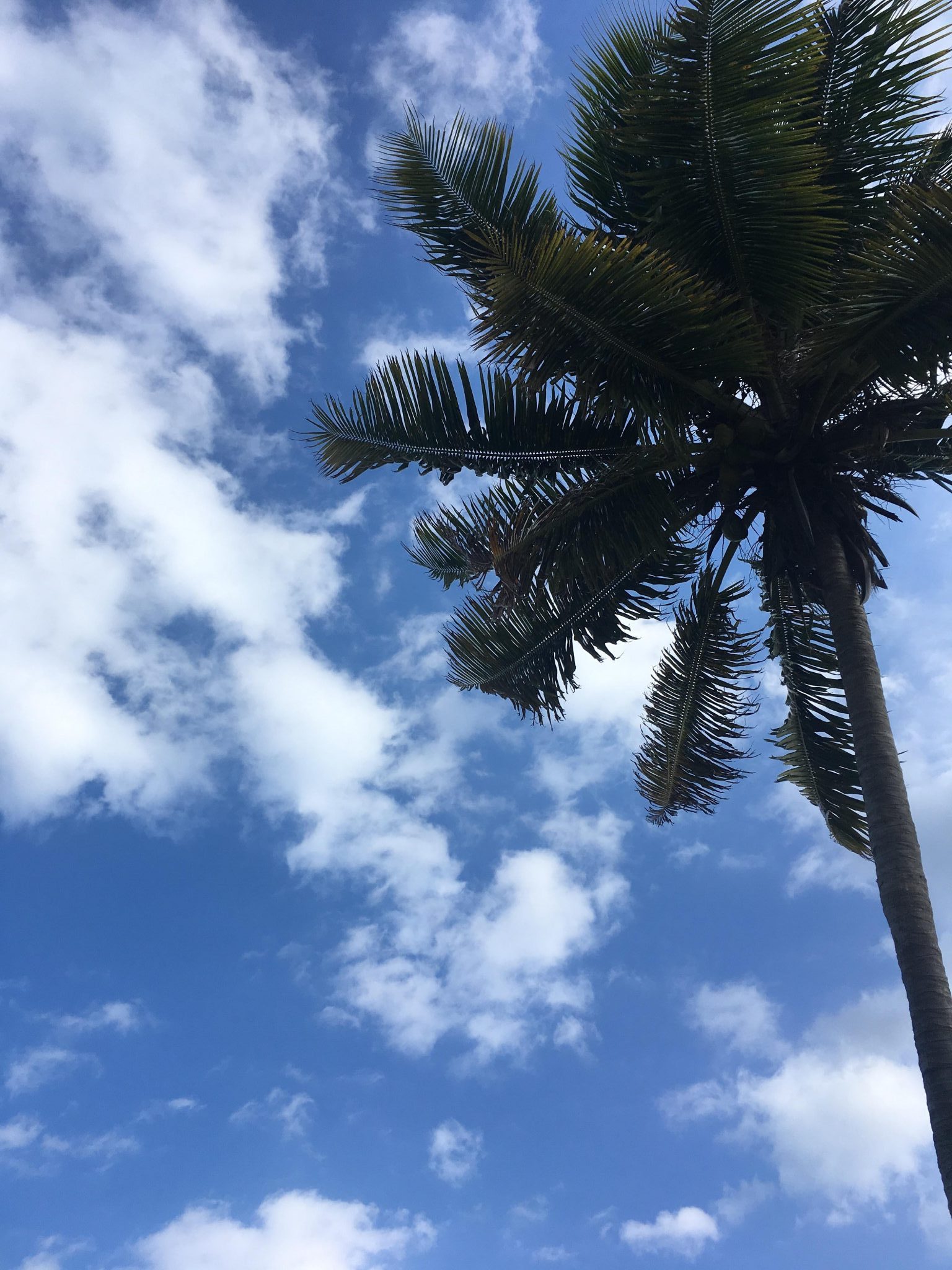 UTC in the Bahamas
