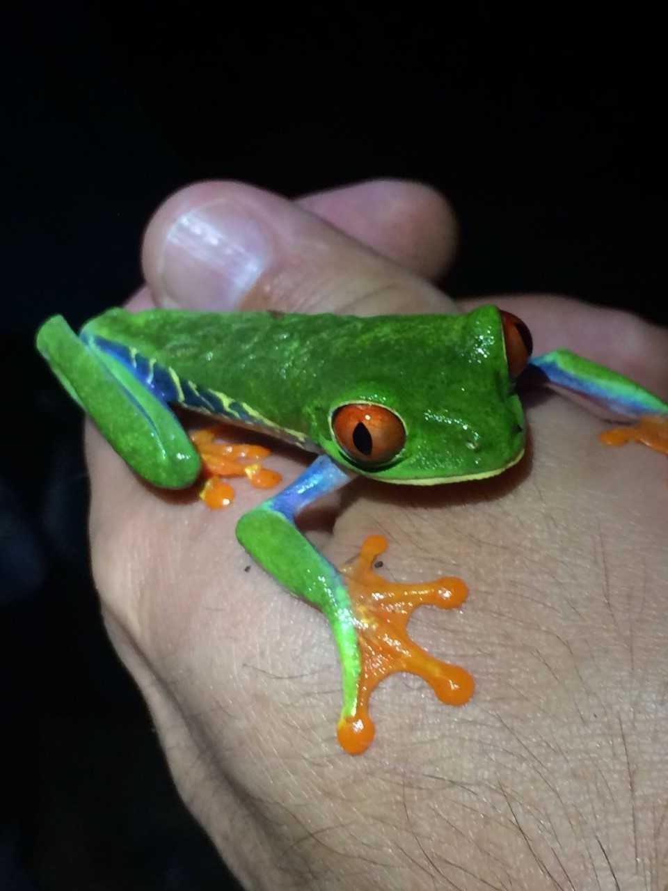 Costa Rica