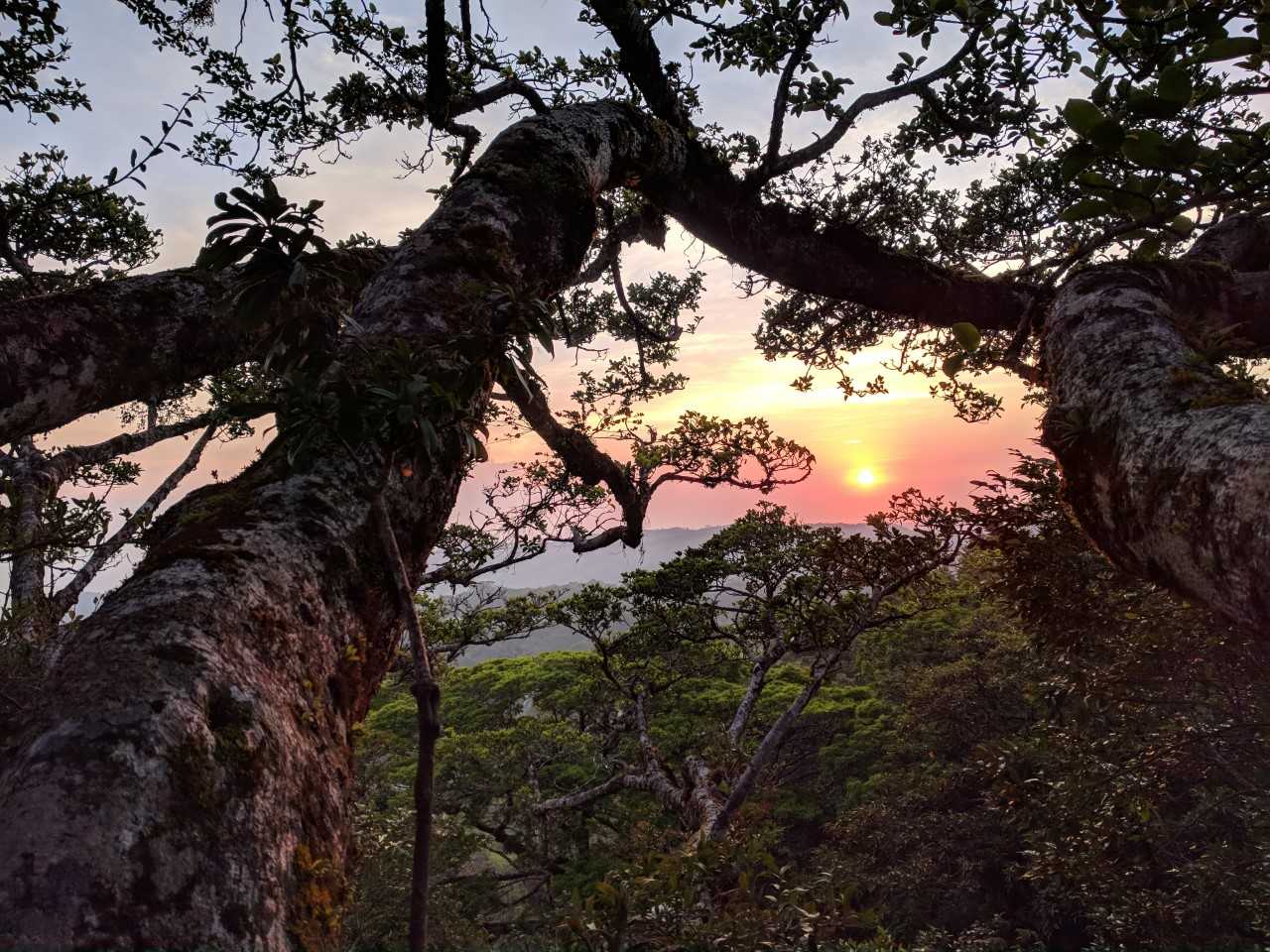 Costa Rica