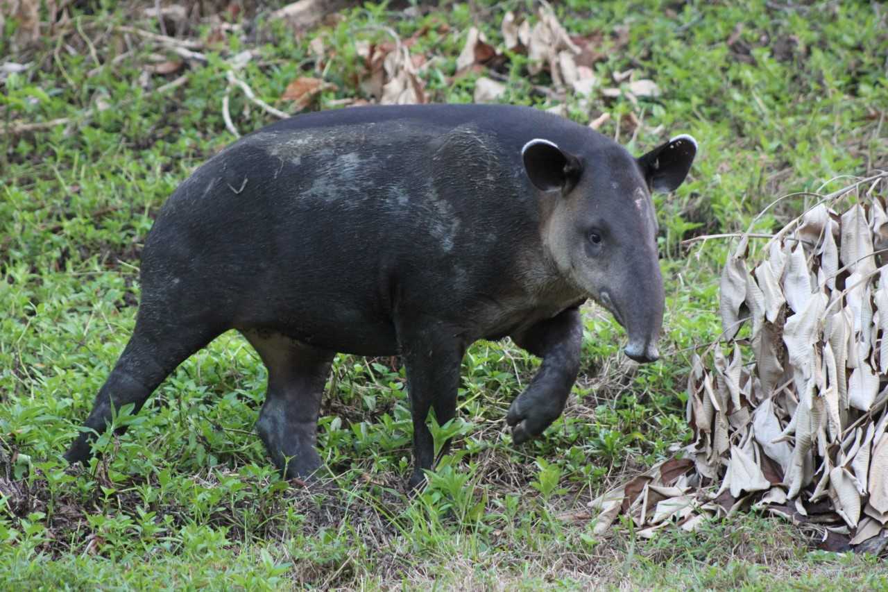 Costa Rica