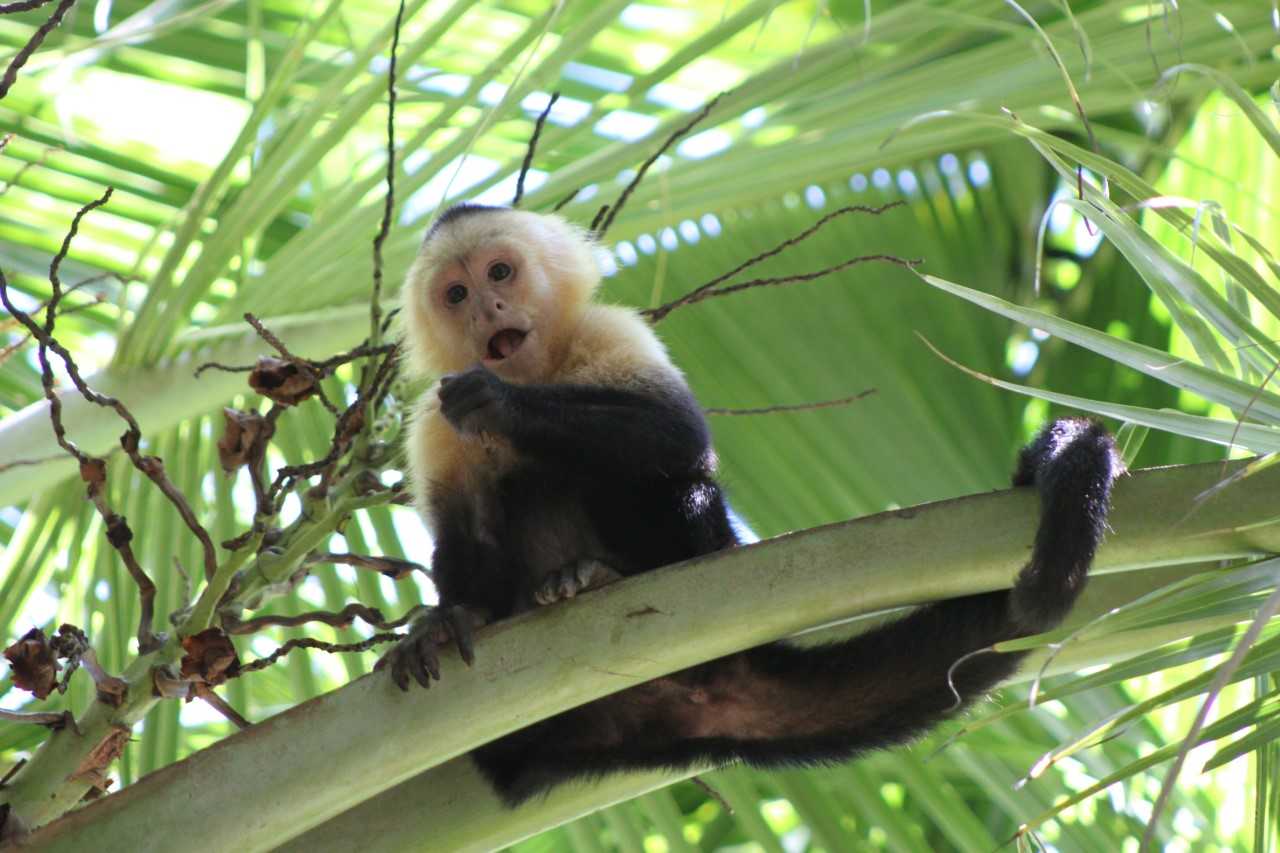 Costa Rica