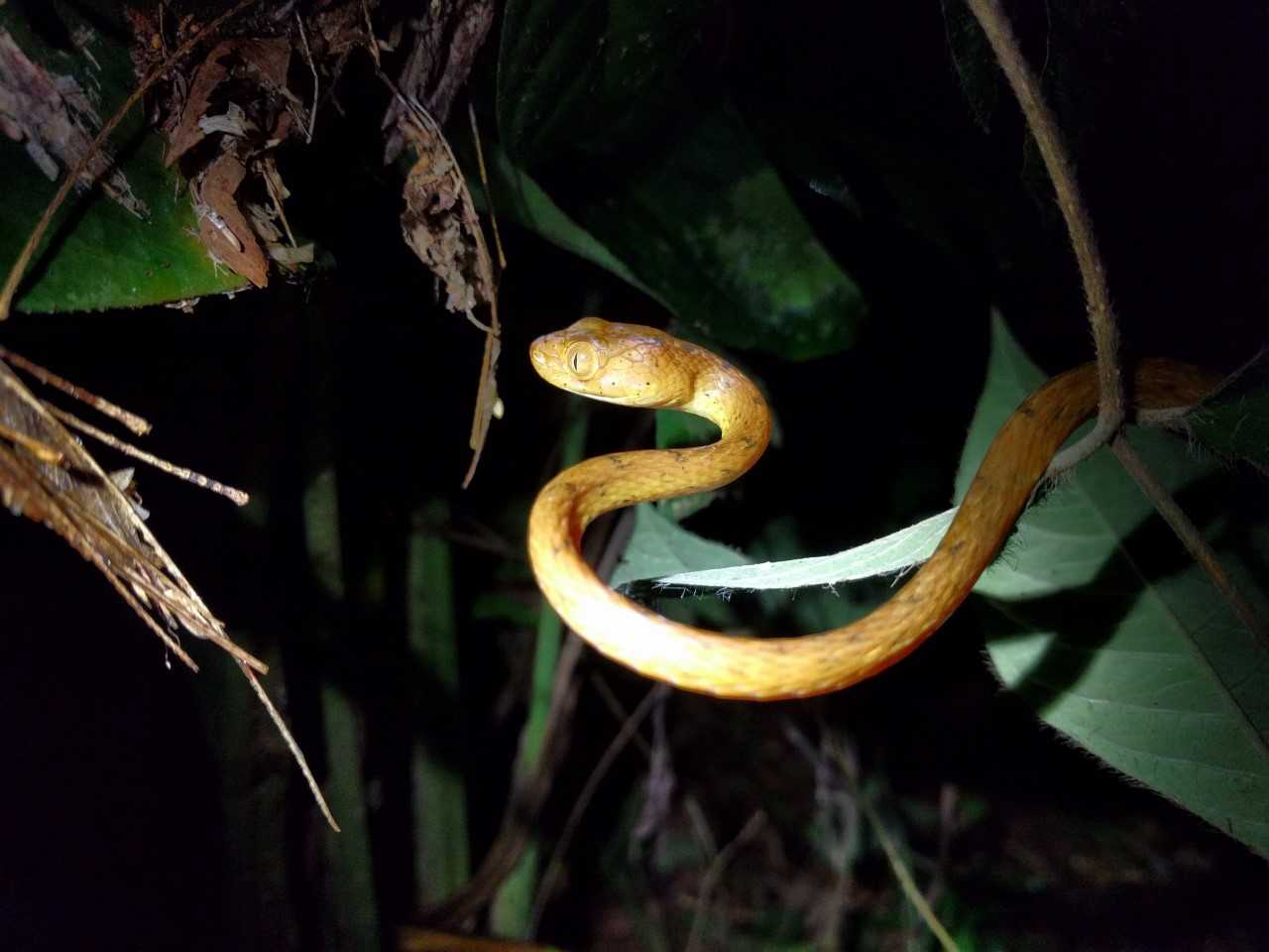 Costa Rica