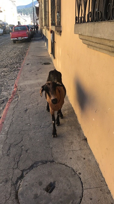 Guatemala