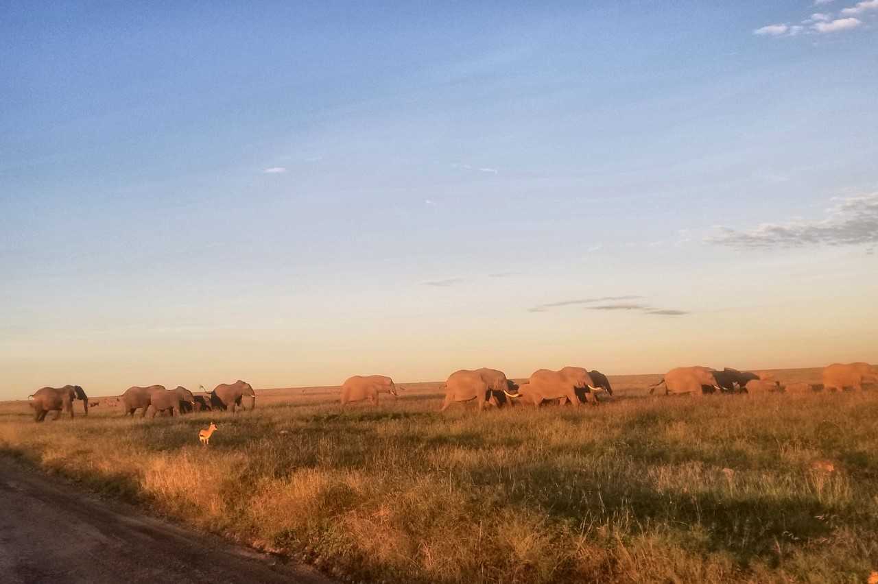 Kenya