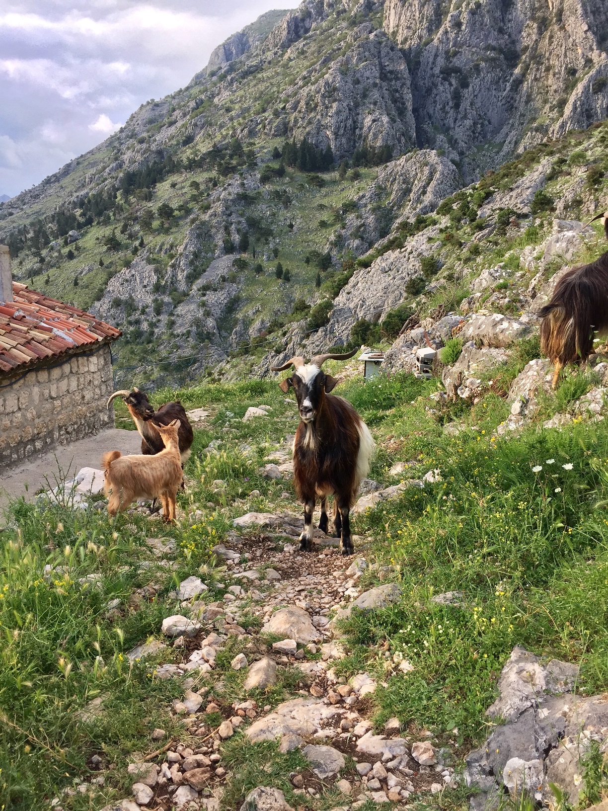 Balkans
