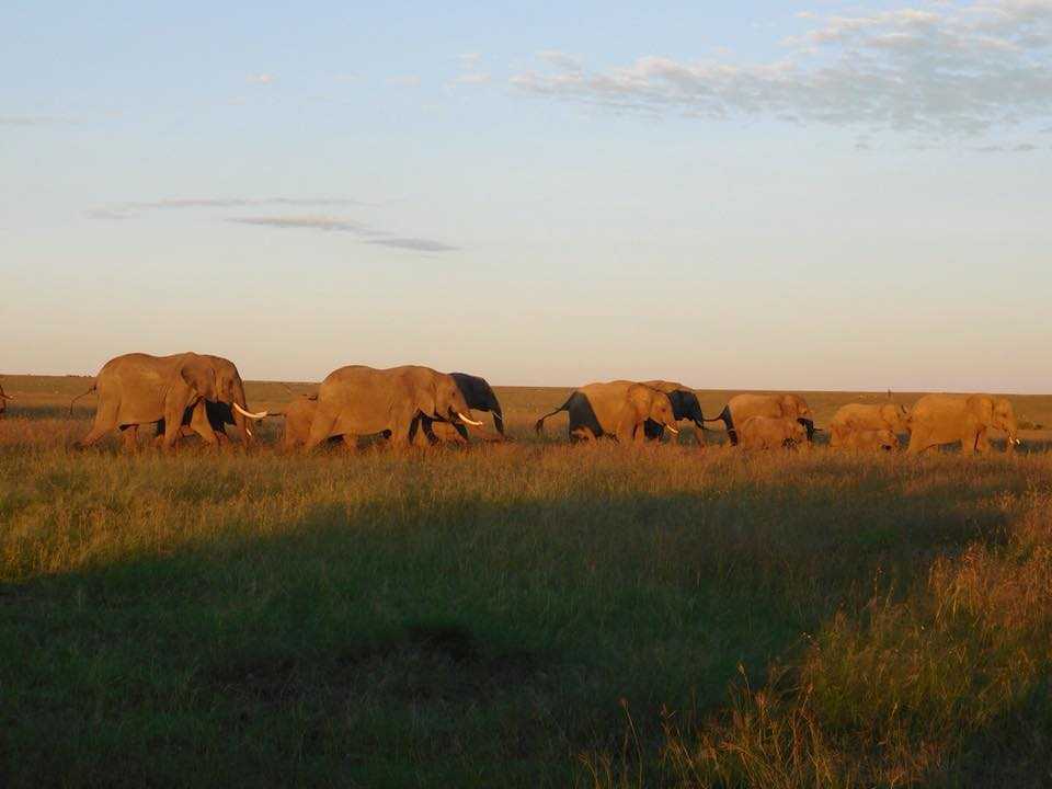 Kenya
