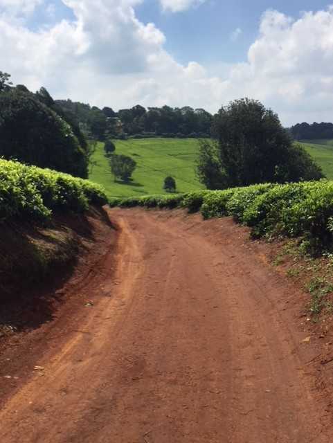Kenya