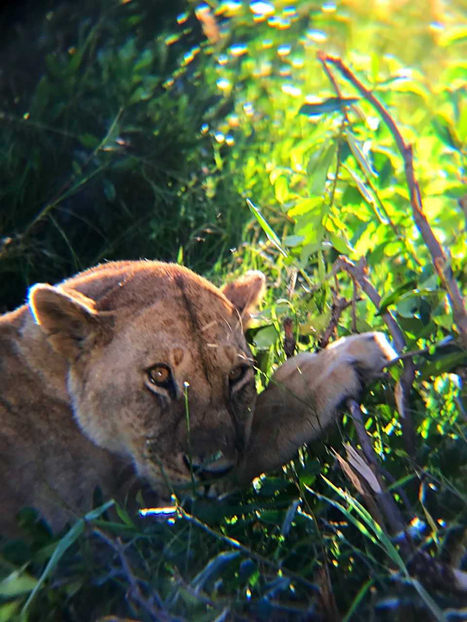 Kenya