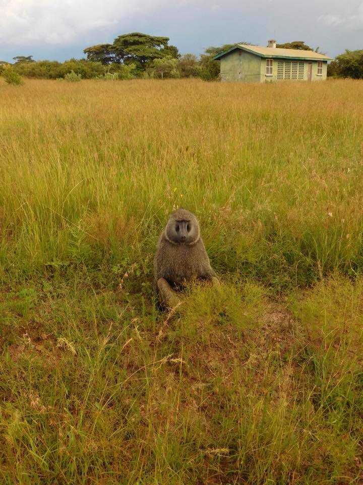 Kenya