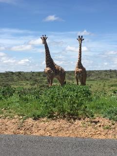 Kenya