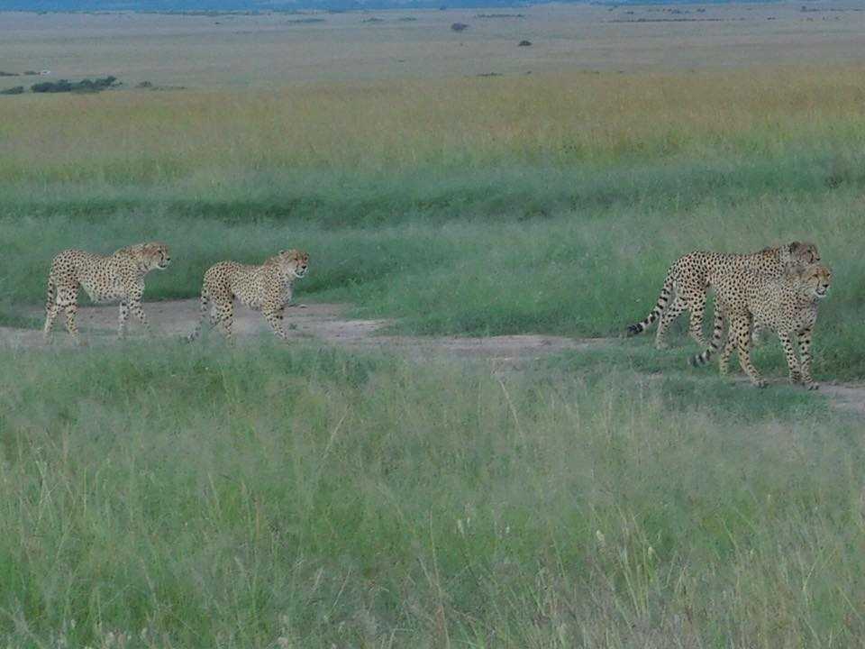Kenya