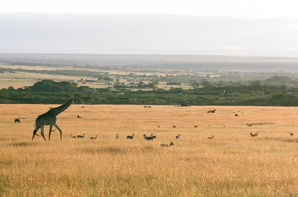 Kenya