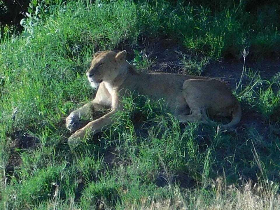 Kenya