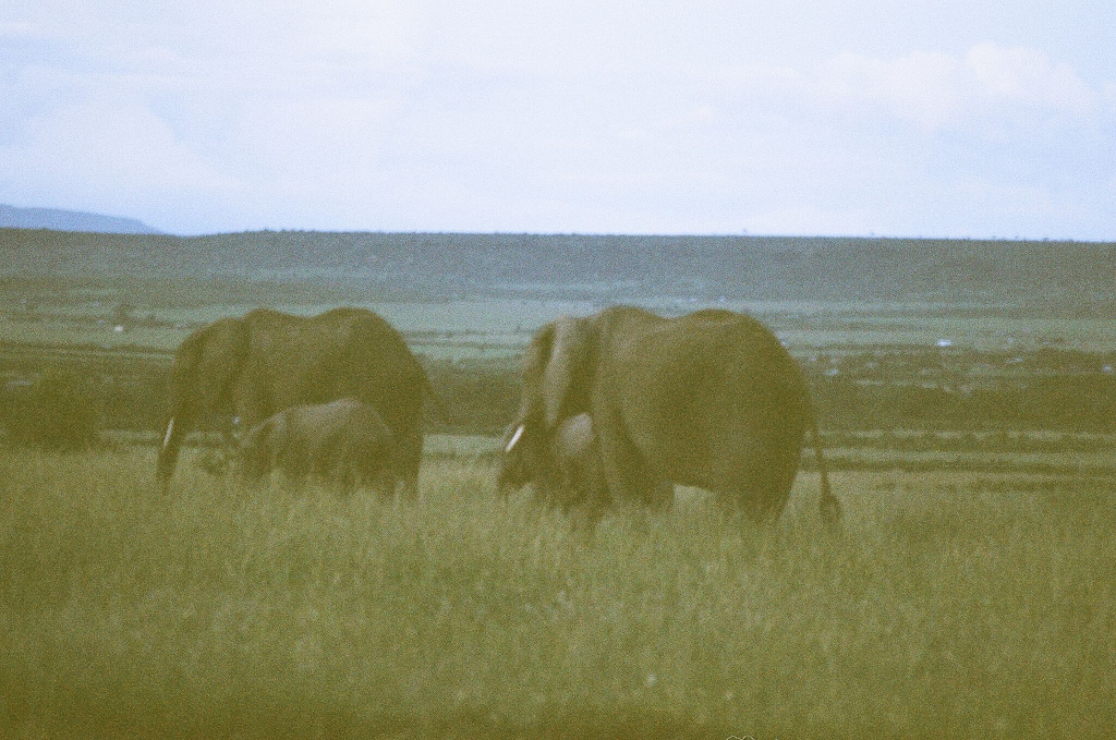 Kenya