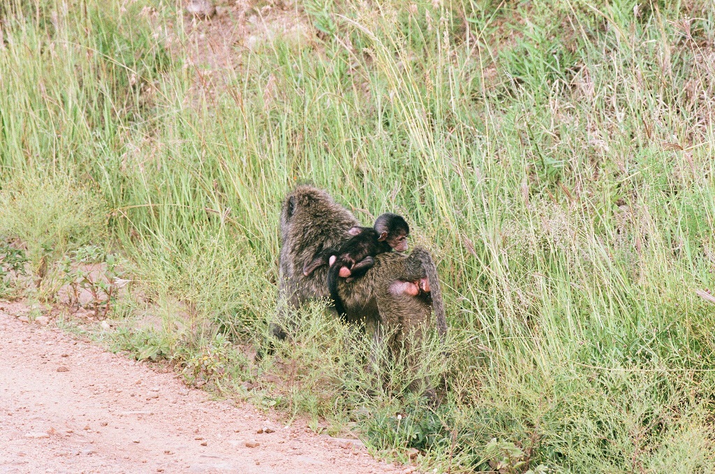 Kenya