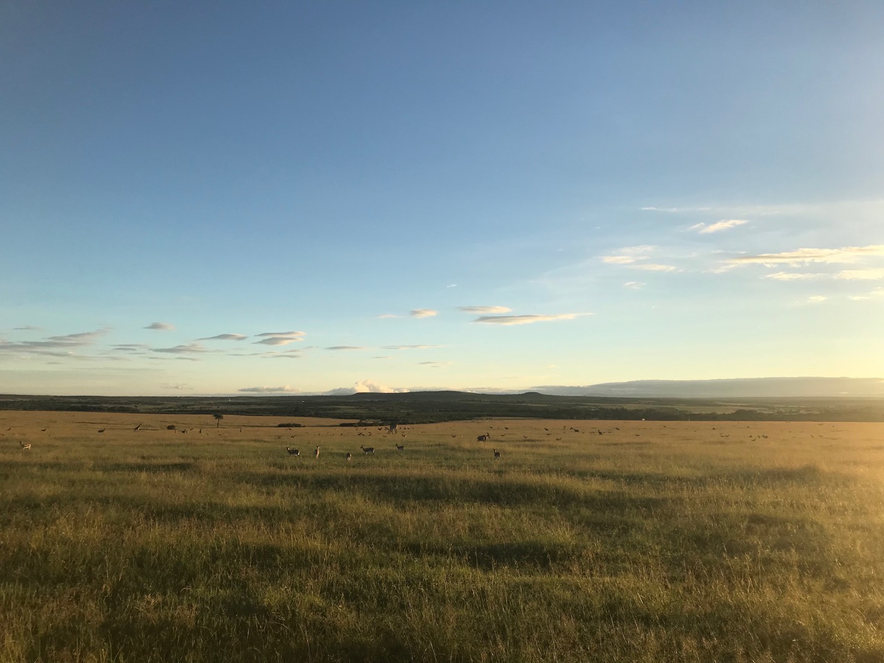 Kenya