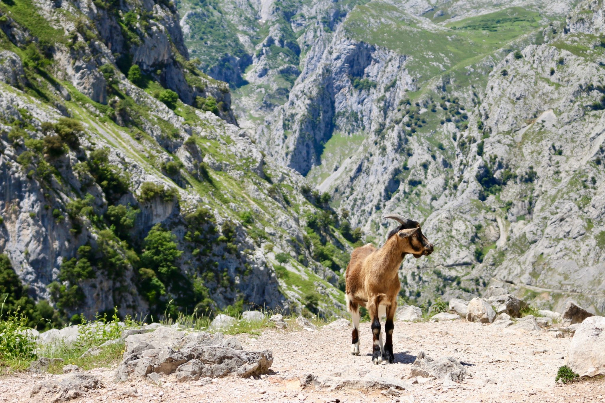 Spain