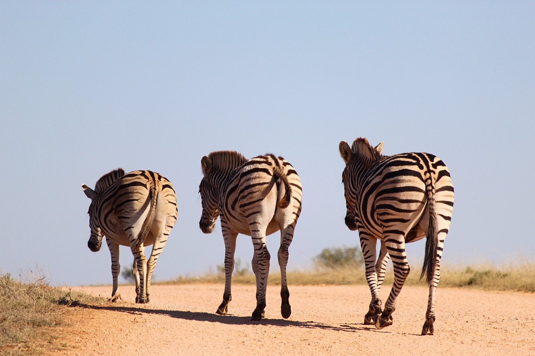 South Africa