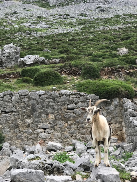 Spain