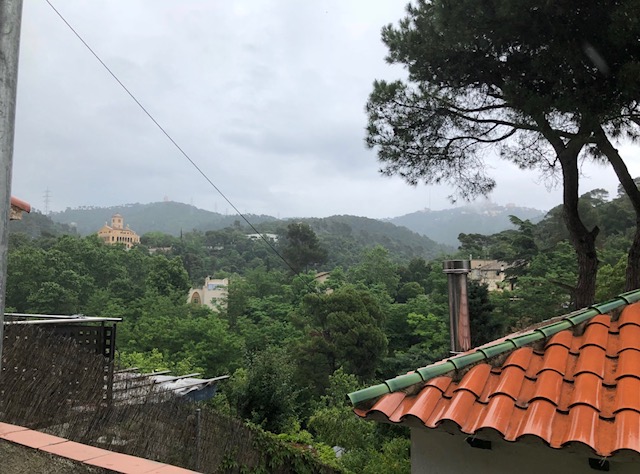 Spain 5