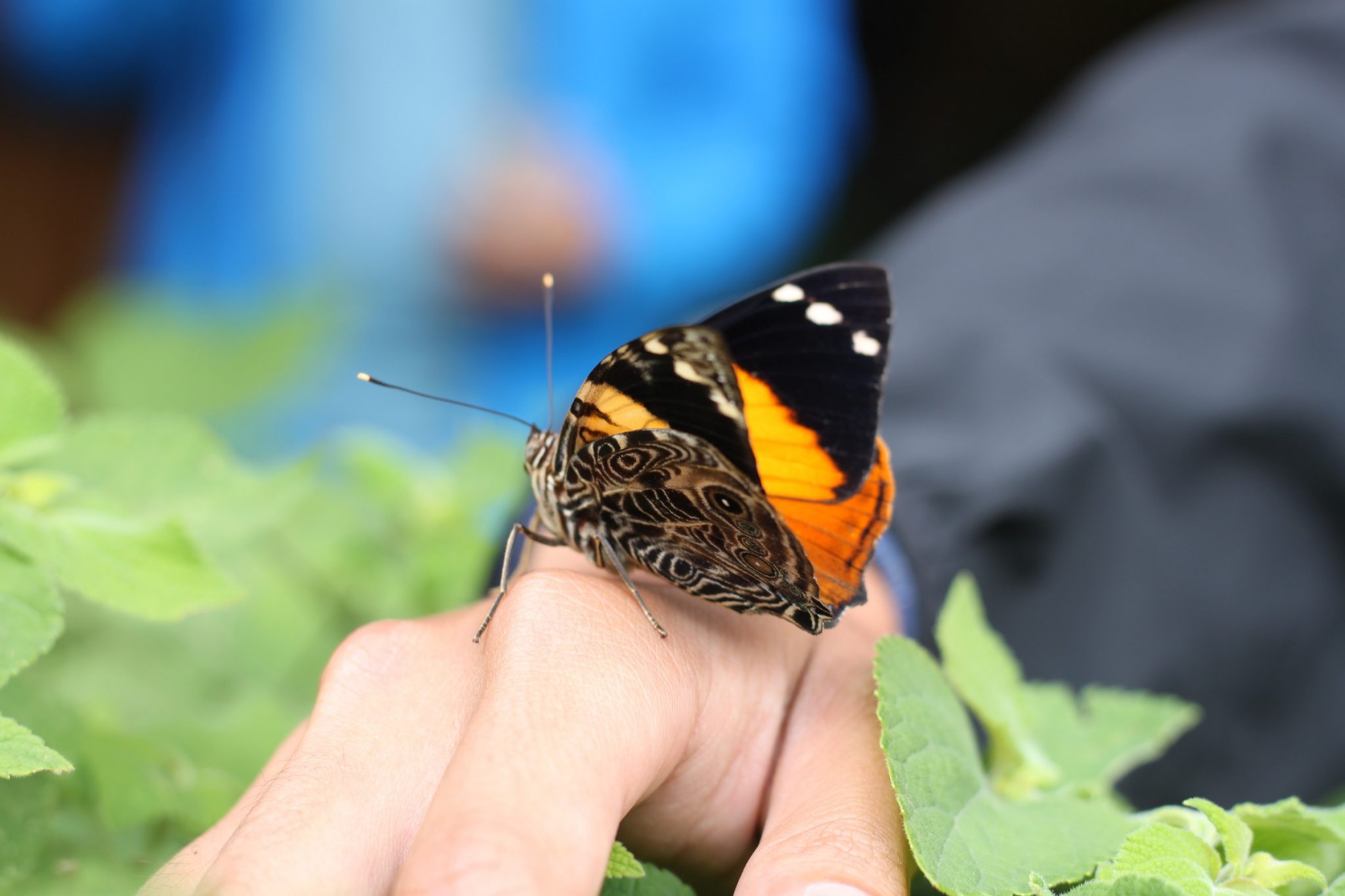 Costa Rica
