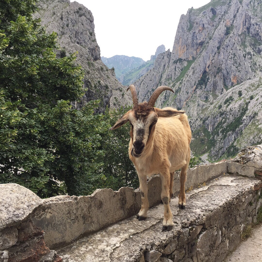 Spain