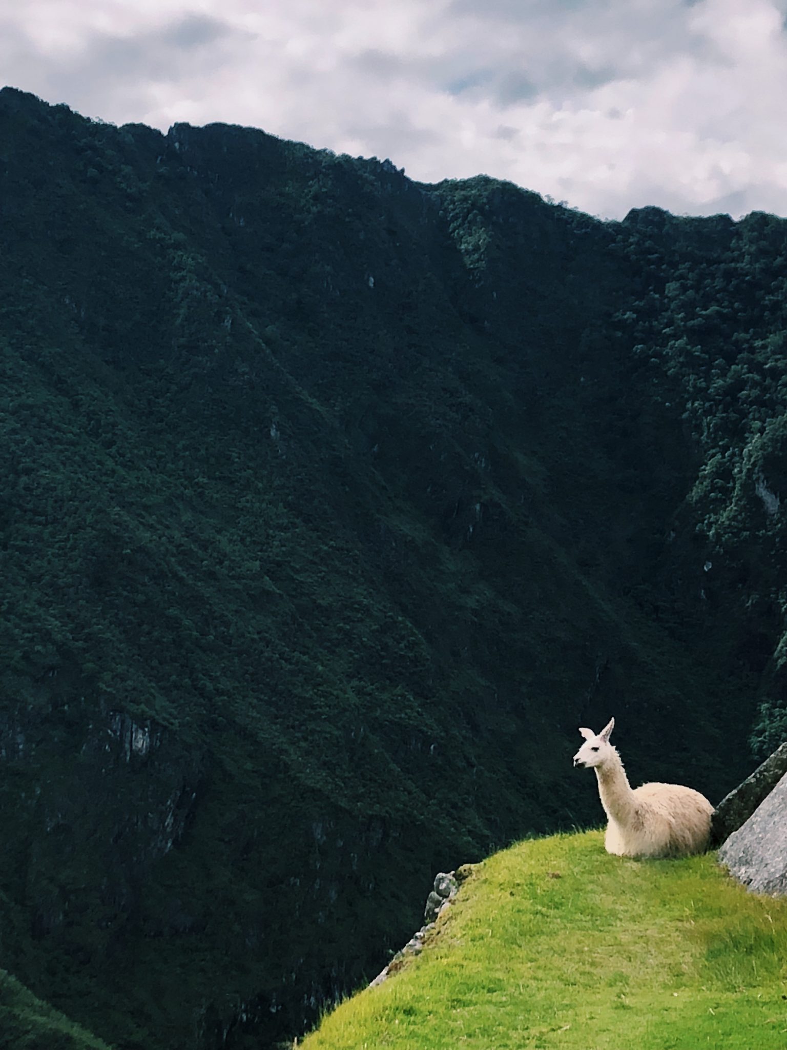 Peru
