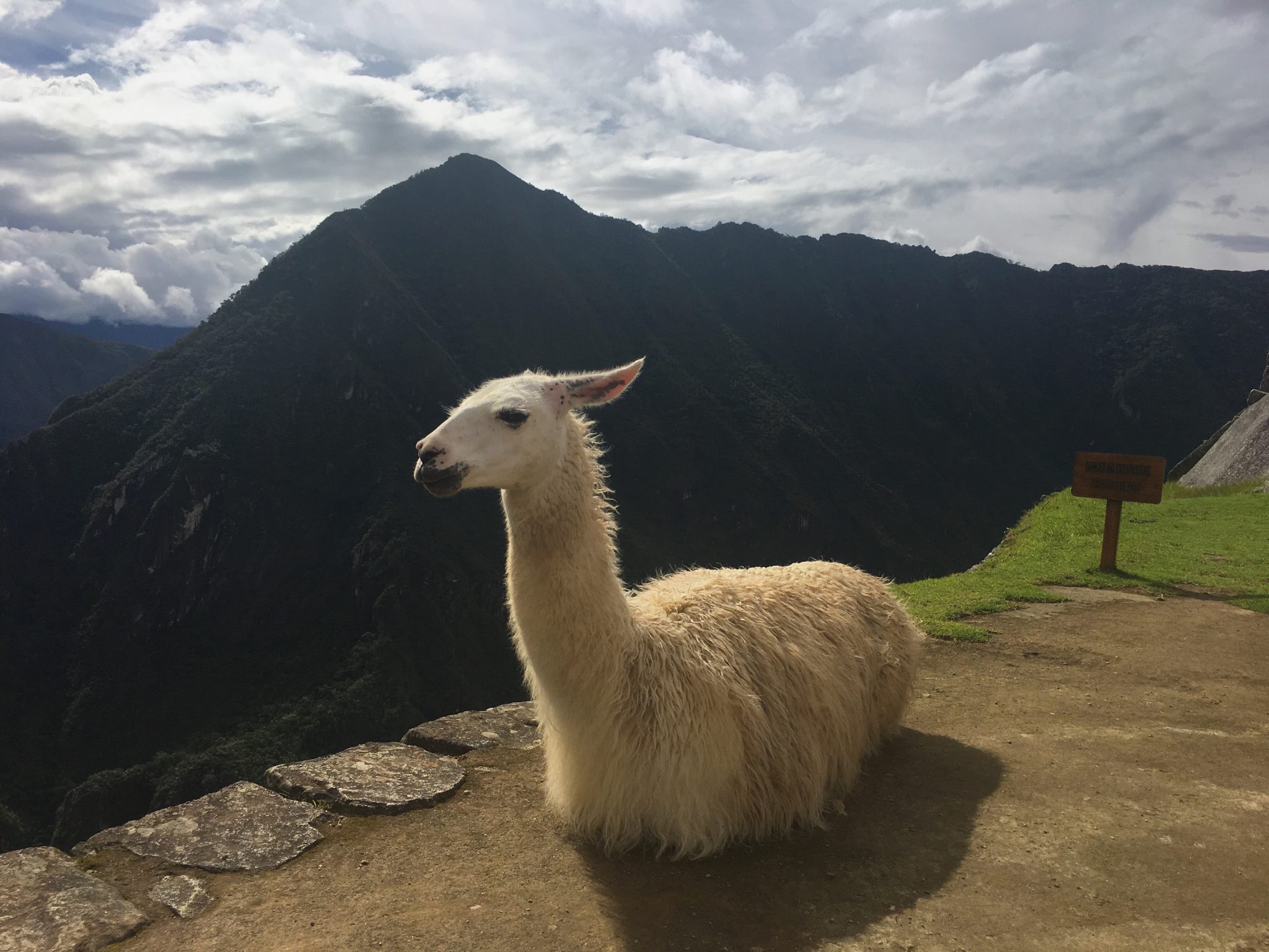 Peru
