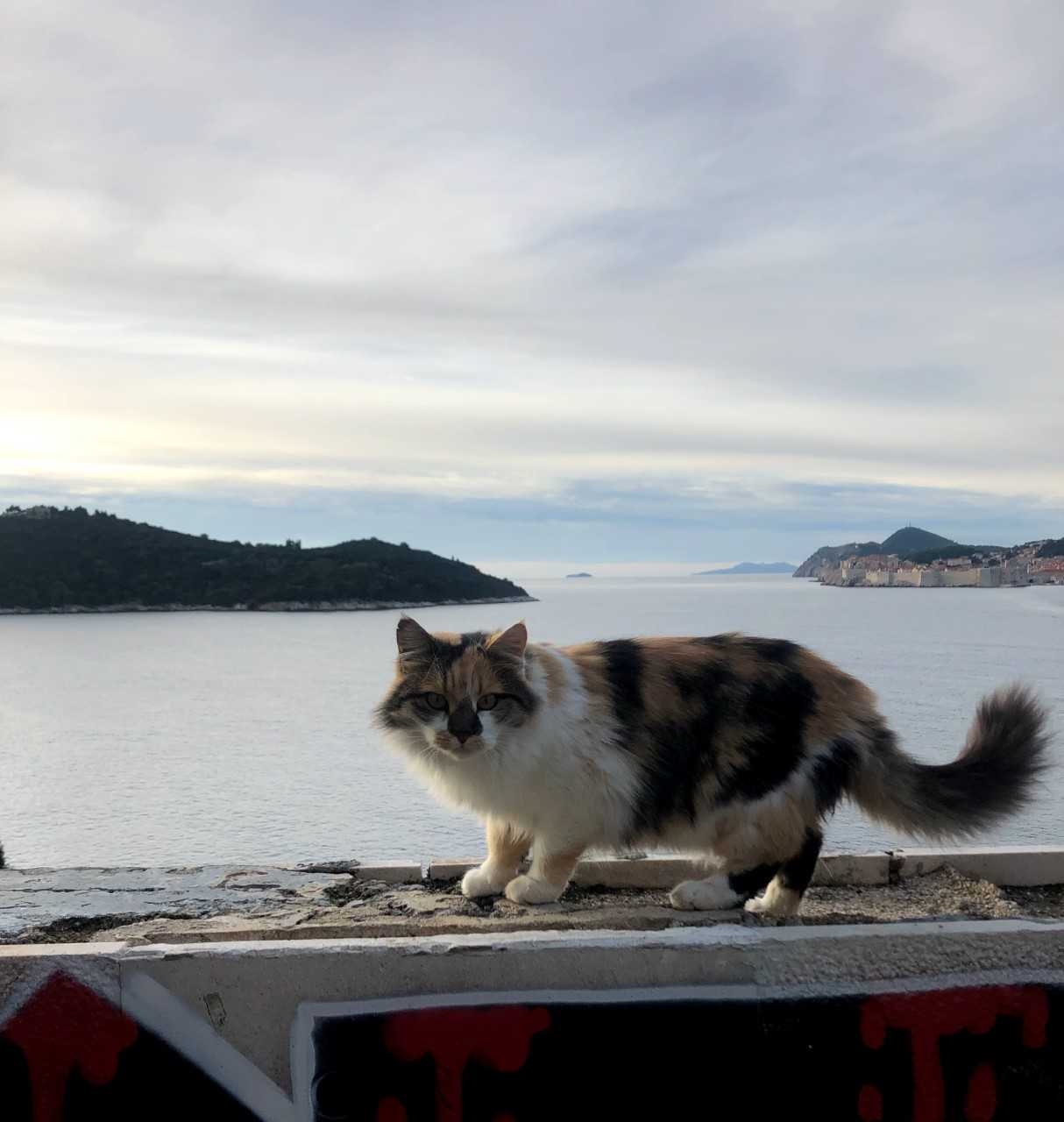 Croatia 3