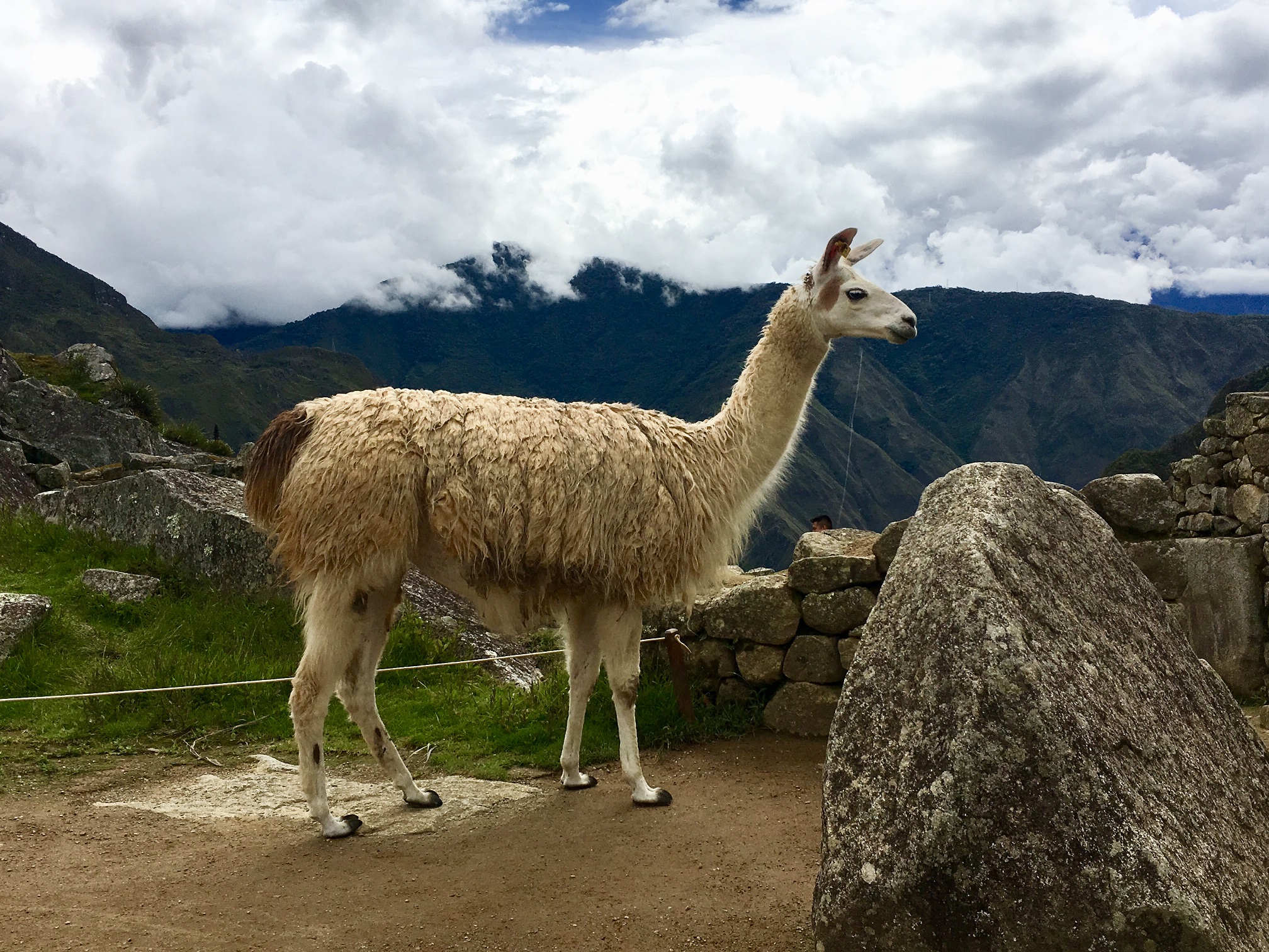 Peru