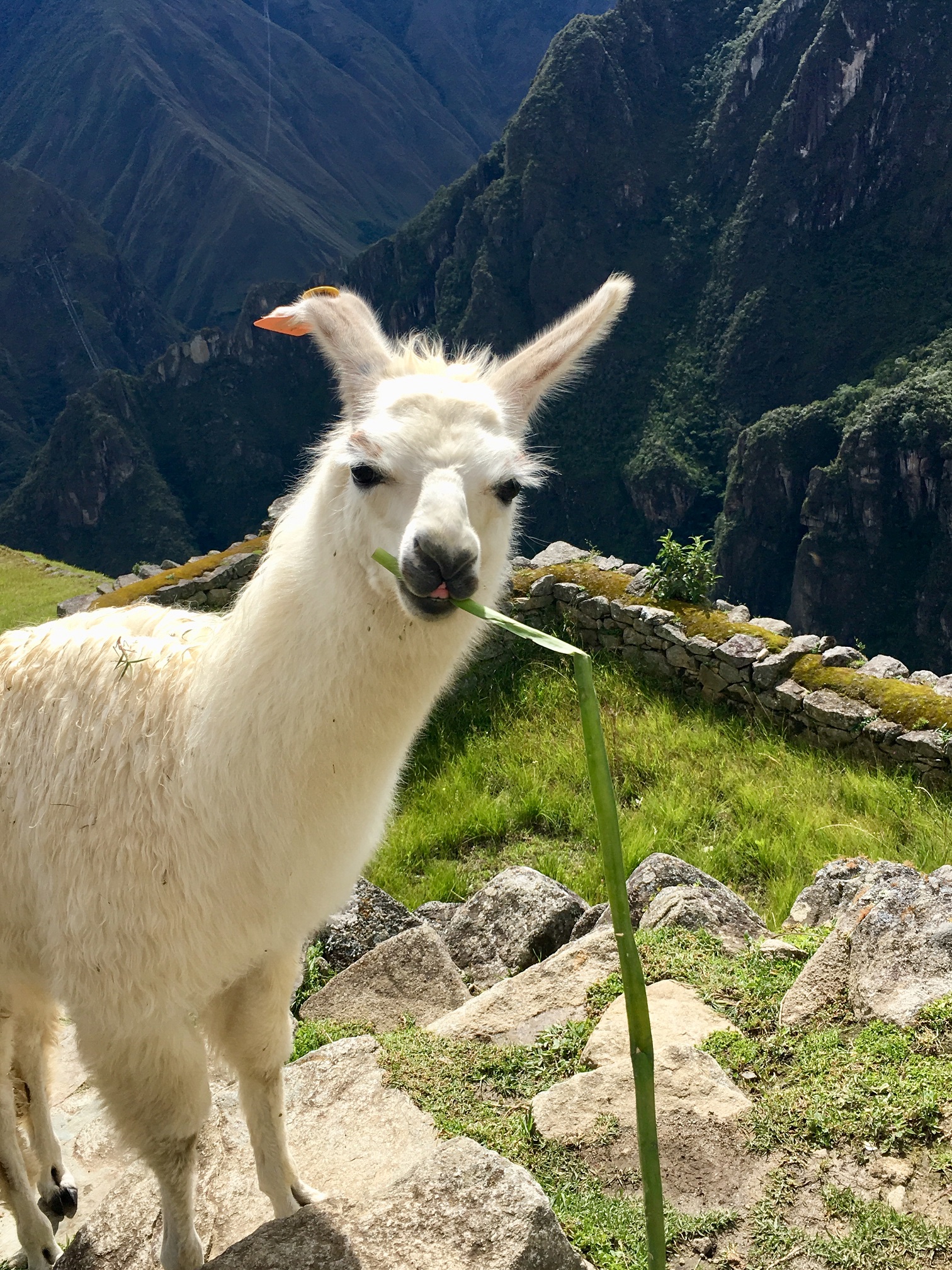 Peru