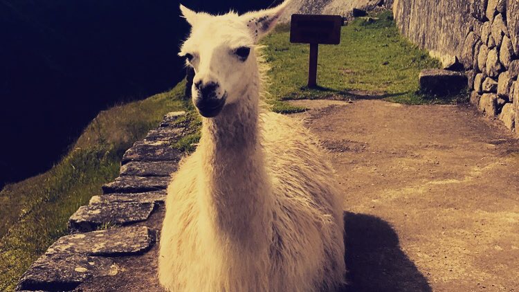 Peru 6