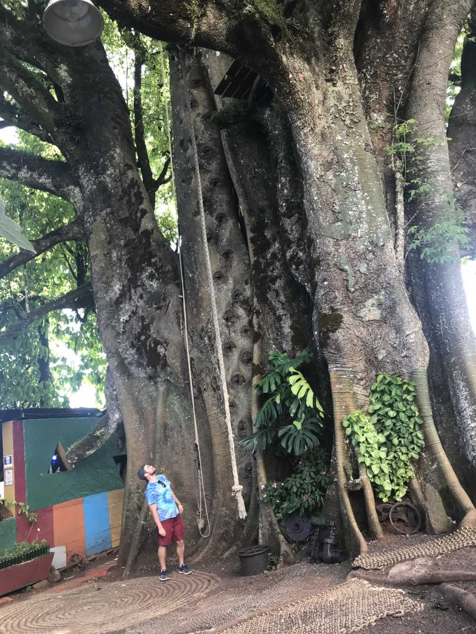Galapagos
