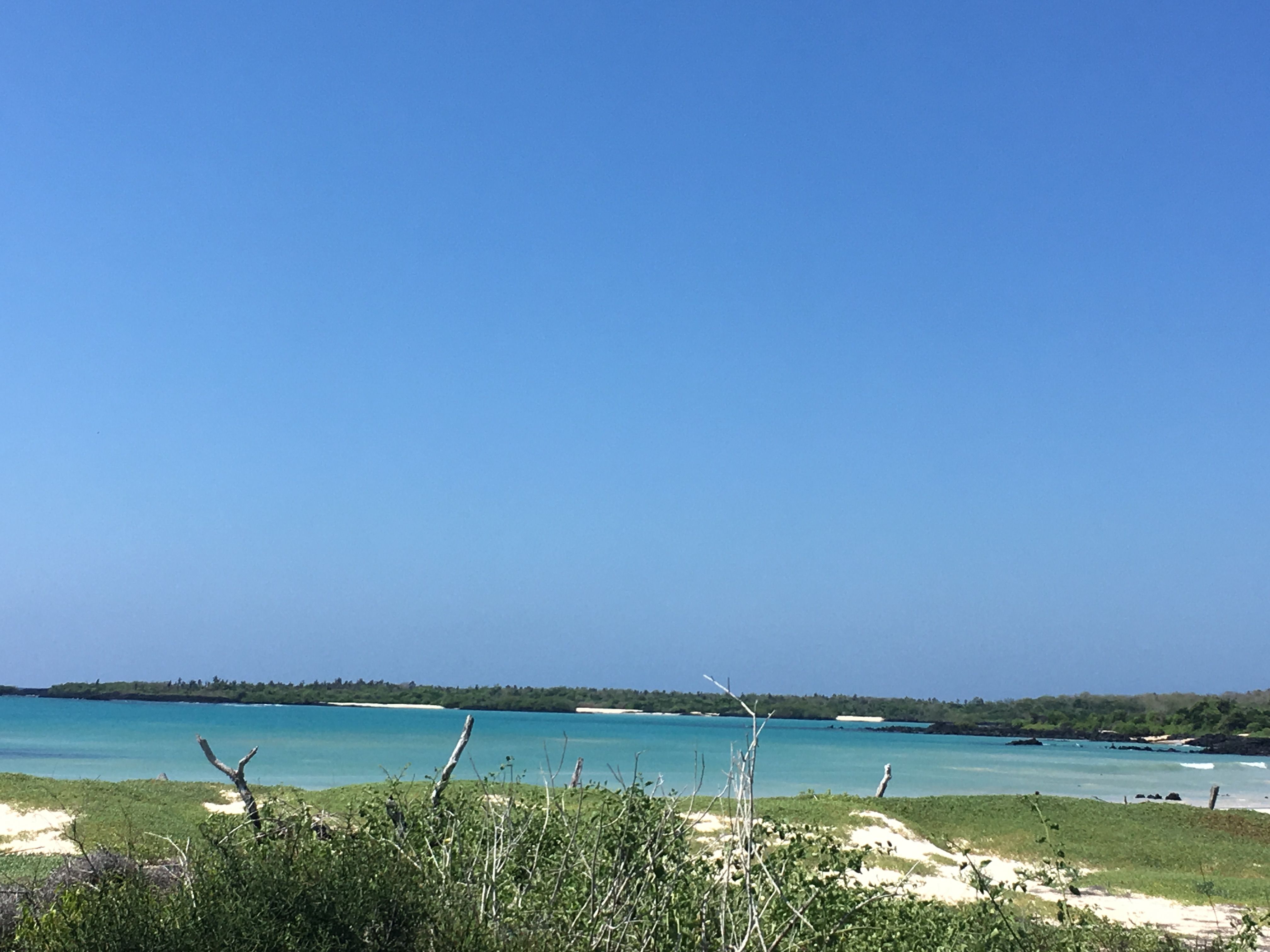 Galapagos