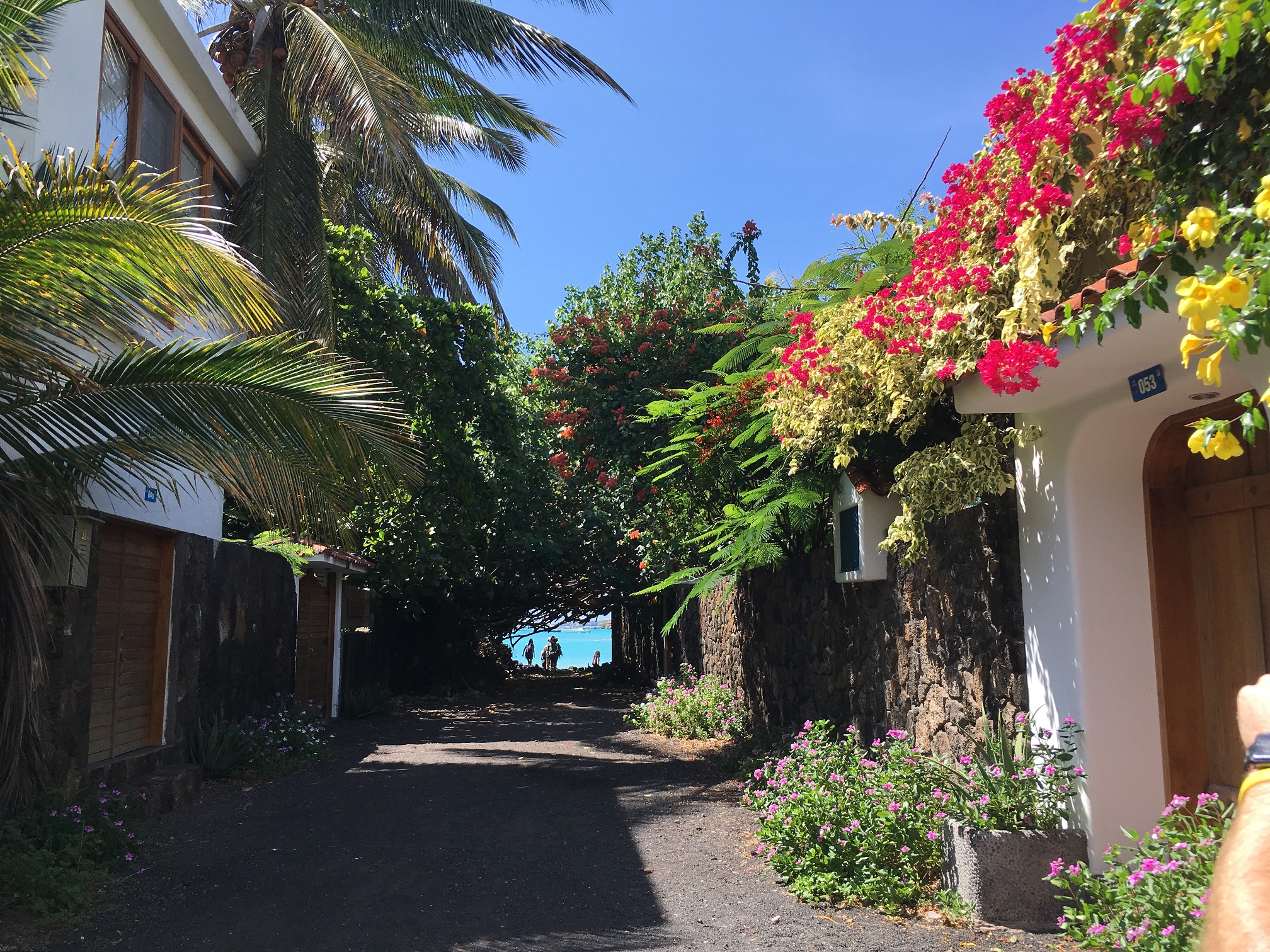 Galapagos