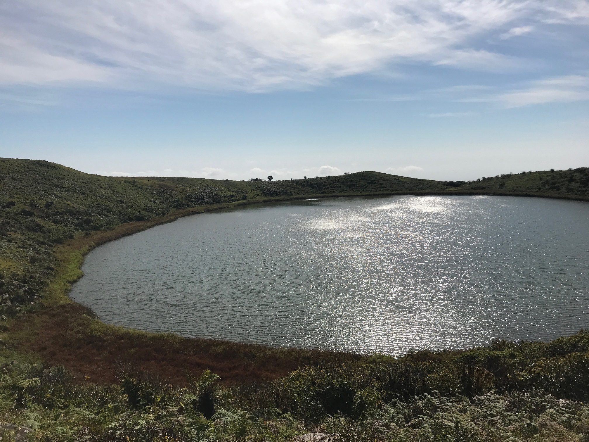 Galapagos