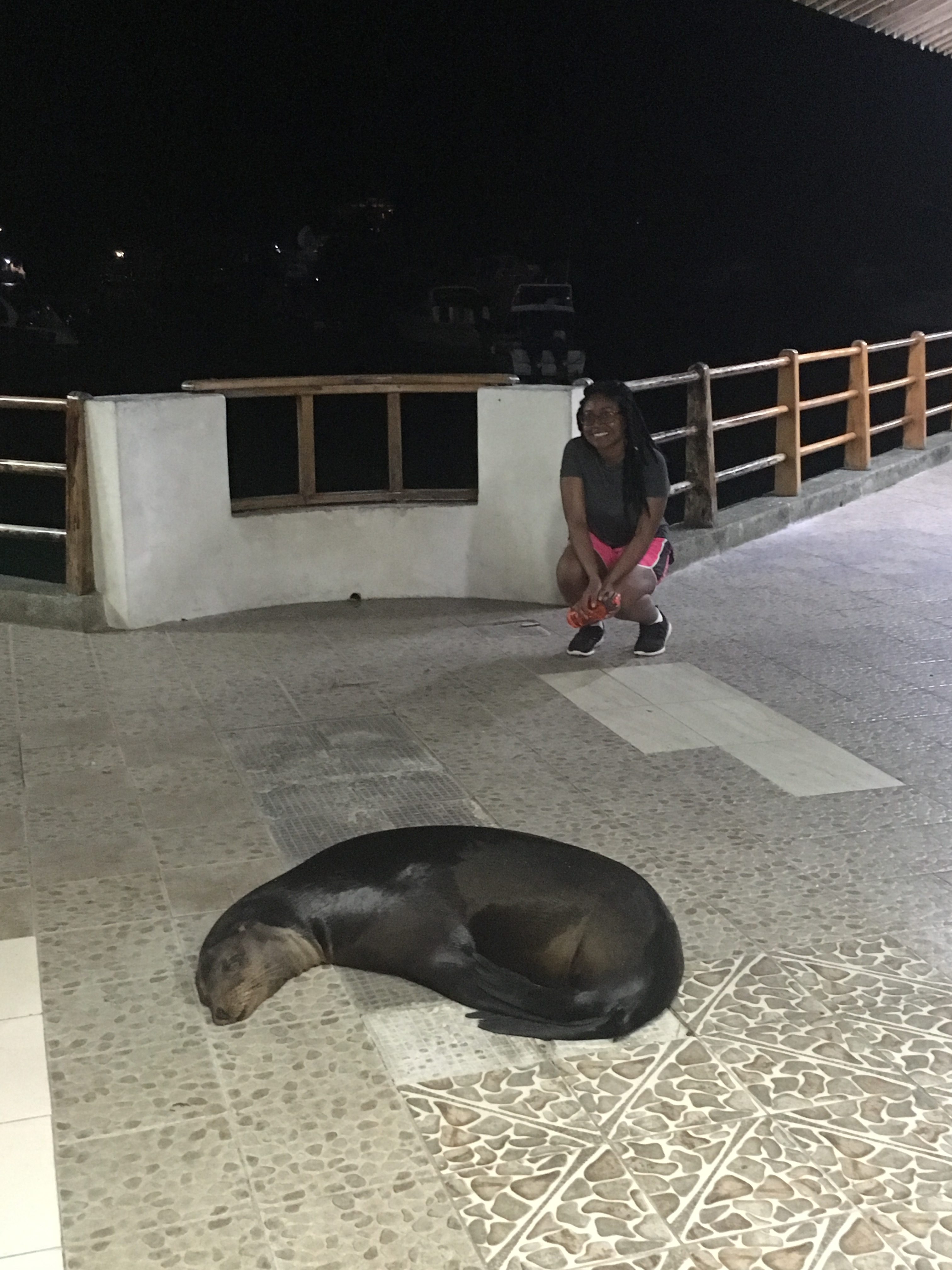 Galapagos