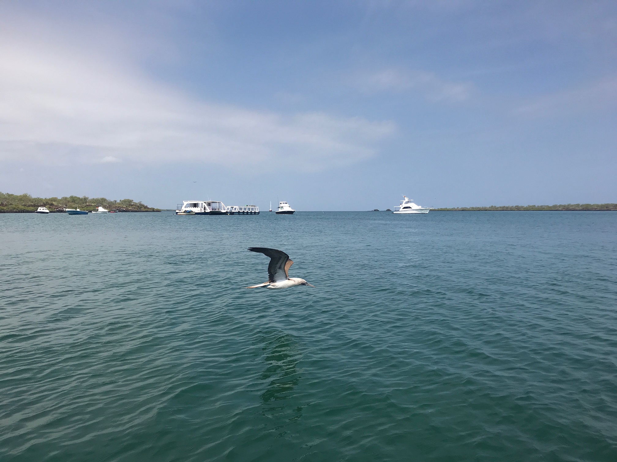 Galapagos