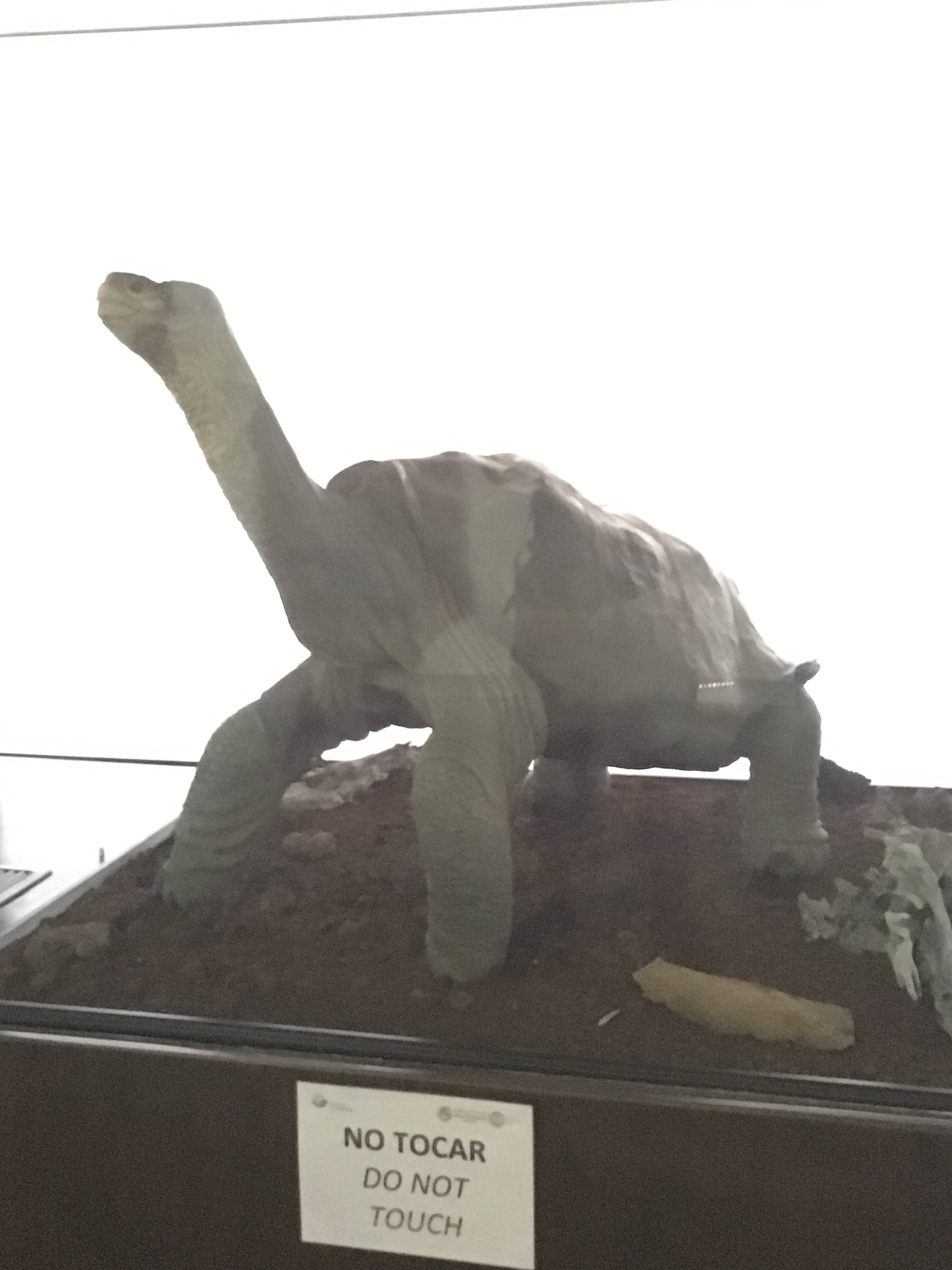 Galapagos