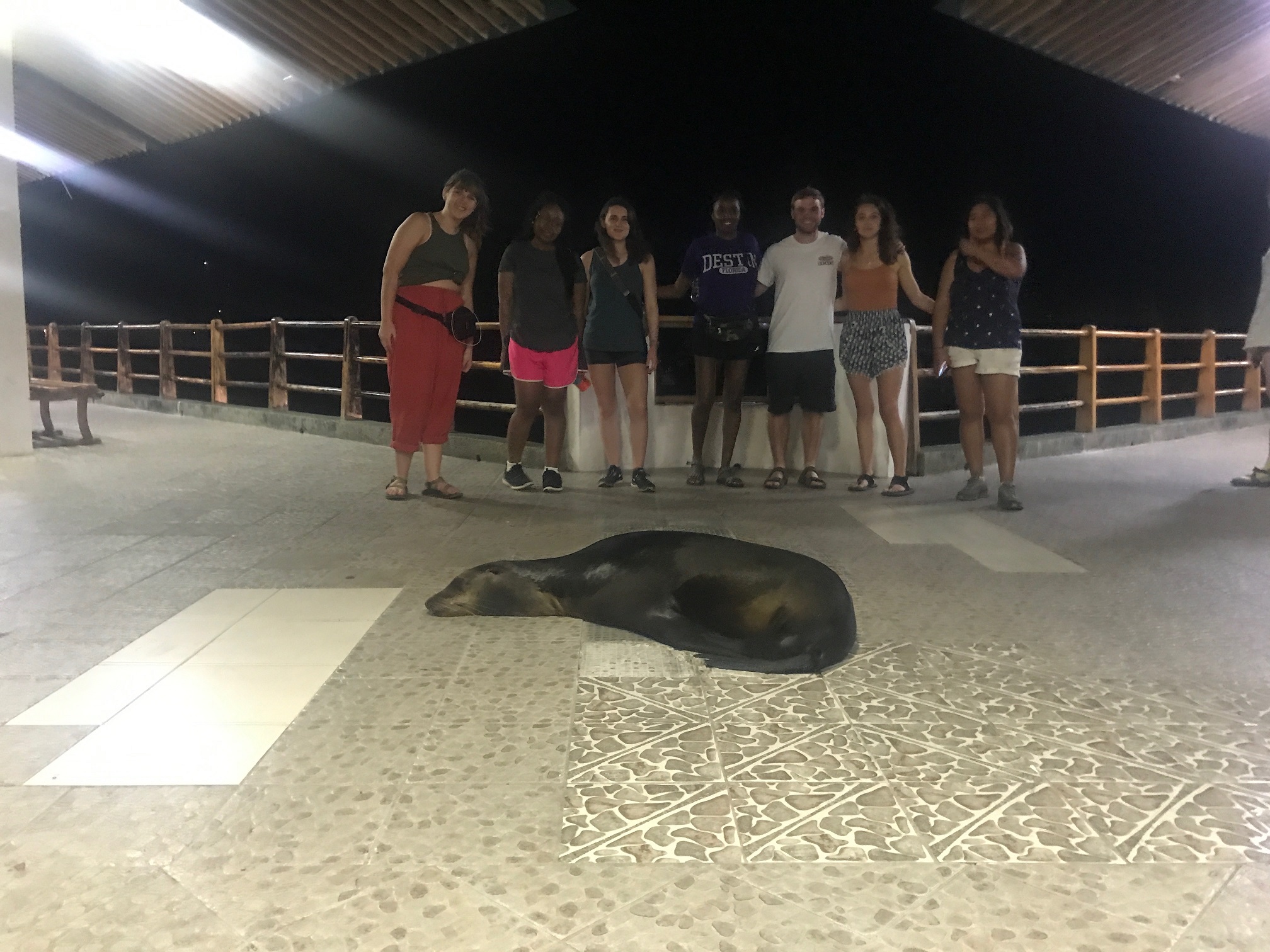 Galapagos